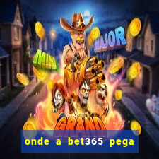 onde a bet365 pega as estatisticas